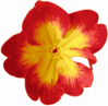 Red And Yellow Flower Clip Art